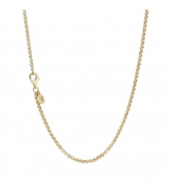 PANDORA 369260C00-60 14k Gold-plated rolo necklace