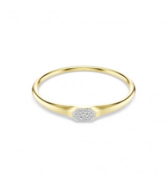 DEXTERA:BANGLE TAG CRE/GOS M