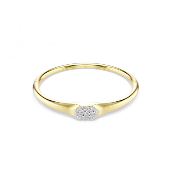 DEXTERA:BANGLE TAG CRE/GOS S